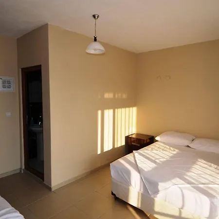 酒店 Aycan Apart 埃尔代克